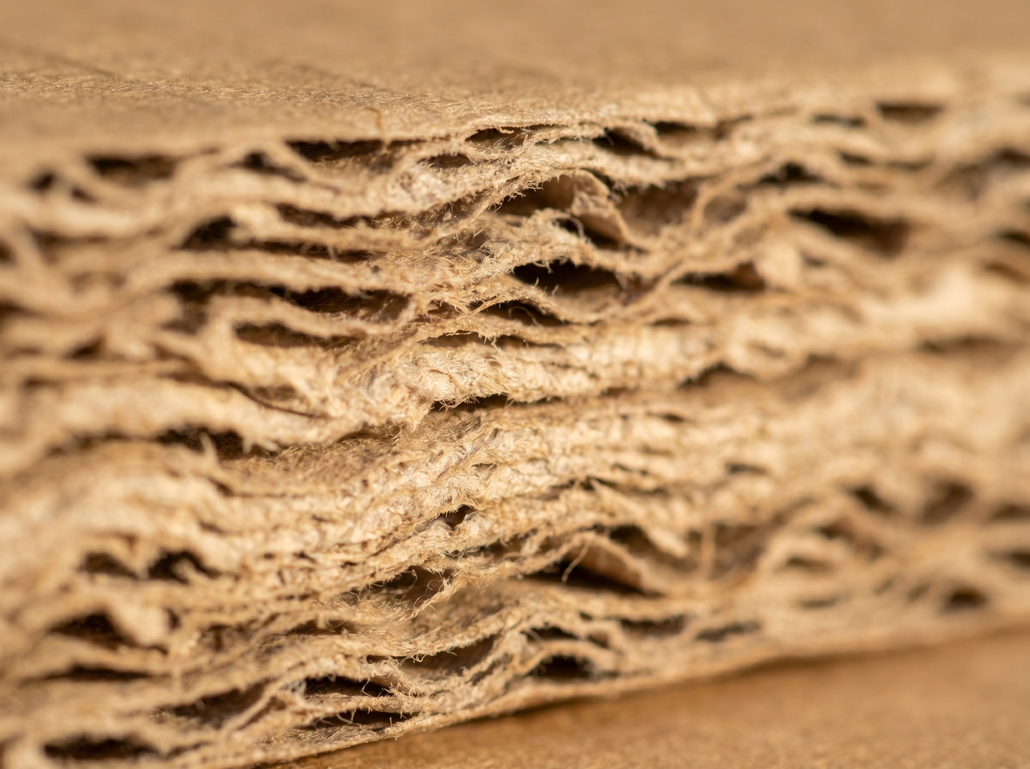 weidewild versand packaging detail